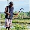 92f66abd0dca446ea2e1a0b31be1efc4 goods