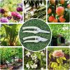 1c99c47e5f514f14a1b374fe77c08806 goods