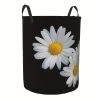 a4b553a1 8b1b 435f 9d1f 83c0a45adc9a