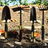 ef86bc6d 3316 458a b896 00752fe8496c